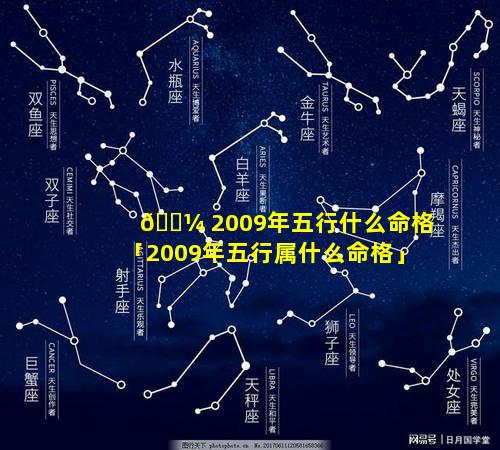 🌼 2009年五行什么命格「2009年五行属什么命格」